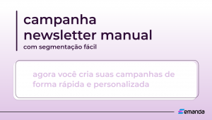 Read more about the article Campanha Newsletter Manual